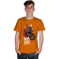 BORN TO RIDE V-STROME - DC (Κοντομάνικο Ανδρικό / Unisex) - Orange