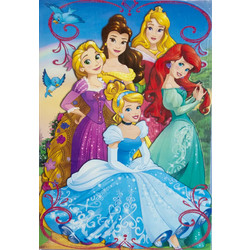 Ευχετήρια Κάρτα Με Κοπτικό Disney Princess (11907-4)