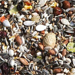 Farma Special Mix Τροφή για Μεγάλους Παπαγάλους 1kg χύμα