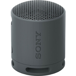 Sony SRS-XB100 Αδιάβροχο Ηχείο Bluetooth με Ραδιόφωνο Μαύρο