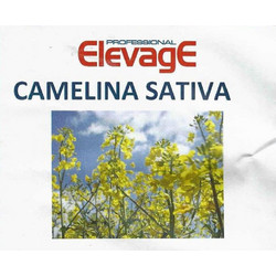 Camelina Sativa 1kg
