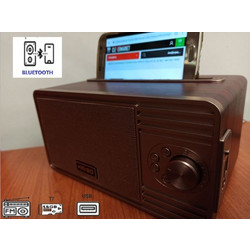 Ράδιο-Bluetooth ηχείο με ραδιόφωνο - είσοδο USB - SD card-AUX