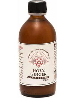 Holy Ginger Μείγμα Ginger & Λεμονιού με Μέλι 210ml