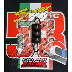 Ελατήριο Σταντ Κεντρικό Εξωτερικό Για Aprilia/Gilera Srv850-Gp800 Καινούργιο Γνήσιο