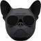Jarre AeroBull Nano Glossy Black