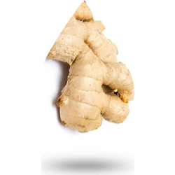 Τζίντζερ-Ginger oil - 10 ml