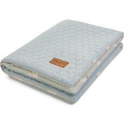 Colorstories Happy Goose Κουβέρτα Αγκαλιάς Βαμβακερή 75x100 Πράσινη Mint