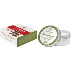 Olympians Hemp(R) Anaplasis Beeswax Cream 500mg CBD