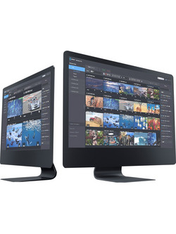 Kiloview Multiview Pro Windows