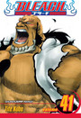 Bleach, Vol. 41 Bleach, Vol. 41