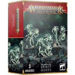 Warhammer Age Sigmar Nighthaunt - Spirit Hosts 93-08