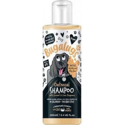 Bugalugs Oatmeal Coconut + Lime Shampoo (10:1) 250ml - Bugalugs