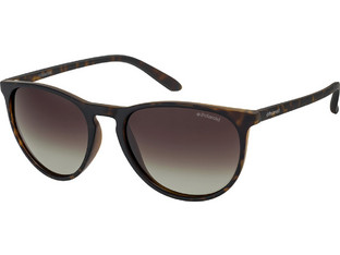 Polaroid Eyewear PLD6003/NS V08/LA Ανδρικά Γυαλιά Ηλίου Οβάλ Κοκάλινα Ταρταρούγα με Μαύρο Polarized Φακό