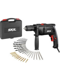 Skil 1021AD