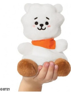 Aurora Palm Pals BT21 RJ 61505