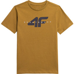 4F Παιδικό T-Shirt Κοντομάνικο Καφέ JAW23-TTSHM0796-74S