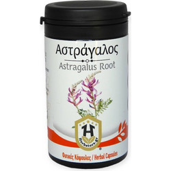 Herbstore Astragalus Root 70 Κάψουλες