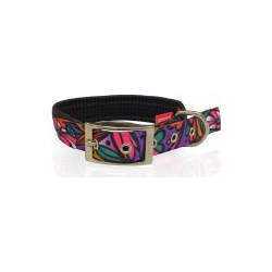 Pet Interest Neoprene Primavera Κολάρο Σκύλου Πολύχρωμο 2.5x50cm
