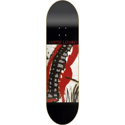 Antiz Skateboards Team Music The Jesus Lizard 8.0 Multi