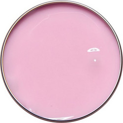 Alezori A&G Hybrid Spectrum Tulip Acrygel 17gr