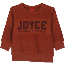 Joyce Παιδικό Φούτερ Rusted 246250801