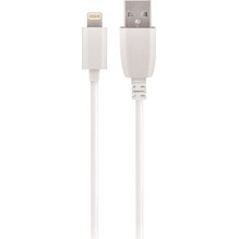 Maxlife USB-A to Lightning Cable 0.5m White 5900495946256