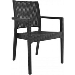Homeplus Dias Πολυθρόνα Κήπου Rattan Ανθρακί 07.02.0121