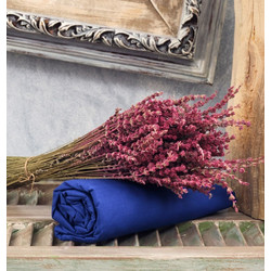 Cokitex Σετ Σεντόνια Ημίδιπλα με Λάστιχο 120x200+25 Angel Blue