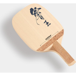 Xiom Hibi O Japan
