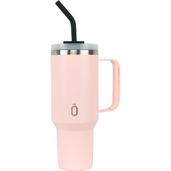 Runbott Dusty Rose 1.1lt