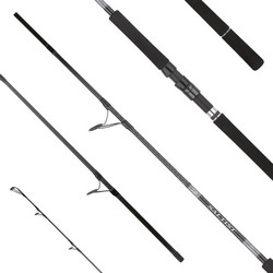 Daiwa Saltist SJ Καλάμι Ψαρέματος για Shore Jigging Carbon Δίσπαστο 3.05m