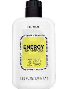 Kemon Energy Σαμπουάν κατά της Τριχόπτωσης 250ml