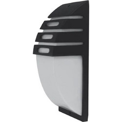Dioled Aralia D78731