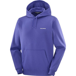Salomon Logo Ανδρικό Αθλητικό Φούτερ με Κουκούλα Μωβ LC2675700