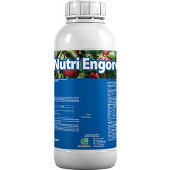 Emphyton Nutri Engorde Υγρό Λίπασμα Σιδήρου Ψευδαργύρου Καλίου Φωσφόρου Μαγγανίου 1lt