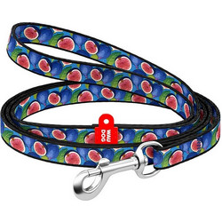 Waudog Fig Λουρί Σκύλου 1.22m x 20mm Πολύχρωμο