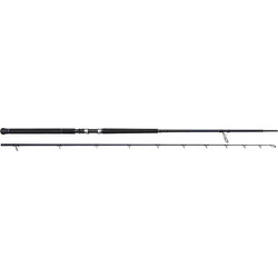 Westin W2 Offshore Powercast Καλάμι Ψαρέματος για Shore Jigging Carbon Δίσπαστο 2.49m με Μηχανισμό 22-82gr