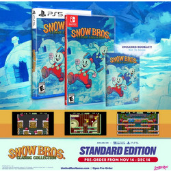 Snow Bros. Classic Collection Nintendo Switch