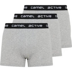 Camel Active Ανδρικά Μποξεράκια Σετ 3Pack Γκρι CA262NOS-6309