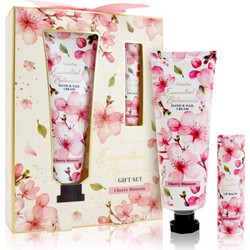 Accentra Essential Botanicals Hand & Nails Cream Set