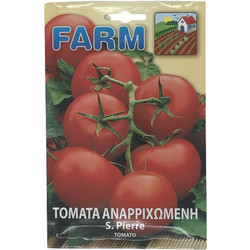 ΤΟΜΑΤΑ ΑΓΙΟΥ ΠΕΤΡΟΥ (ΤΣΑΜΠΙ)