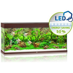 Juwel Aquarium Rio 240 Ενυδρείο Ψαριών με Φωτισμό, Θερμαντήρα, Κυκλοφορητή & Φίλτρο 240lt Καφέ