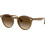 Ray-Ban RB2180 6166/13 Γυαλιά Ηλίου Στρογγυλά Κοκάλινα Καφέ με Καφέ Degradee Φακό