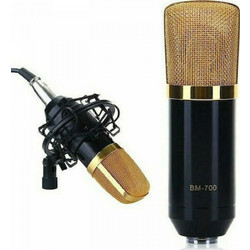 BM-700 Condenser Πυκνωτικό Μικρόφωνο XLR