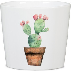 Scheurich Cactus Garden Mini-Carla 870
