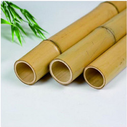 SHOWOOD Ιστός Bamboo O2-2.2 x 200cm (21202)
