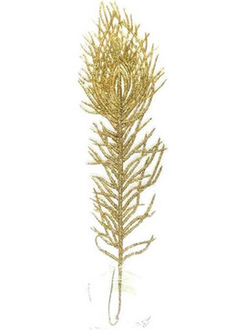 Σετ Διακοσμητικό Χρυσά Φύλλα Glitter - 3τμχ 36cm / Παγώνι