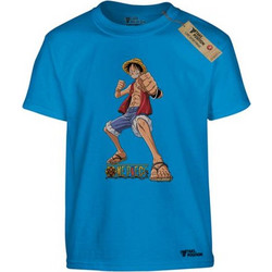 Takeposition Anime Onepiece Παιδικό T-Shirt Κοντομάνικο Τιρκουάζ 806-1311-16