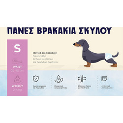 Πάνες-Βρακάκια για Σκύλους S 20τεμ. 22-40CM