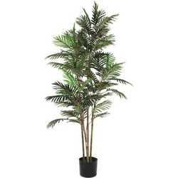 Τεχνητό Φυτό Σε Κασπώ 428019 Φ65x160cm Green Eglo Πλαστικό